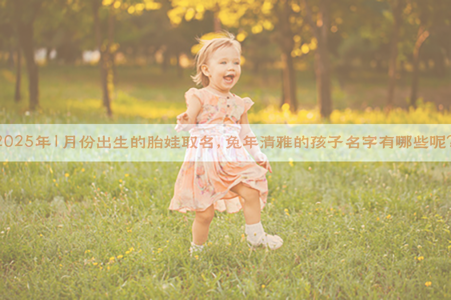 2025年1月份出生的胎娃取名，兔年清雅的孩子名字有哪些呢？