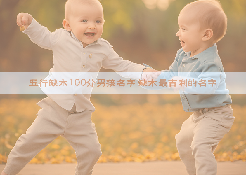 五行缺木100分男孩名字 缺木最吉利的名字