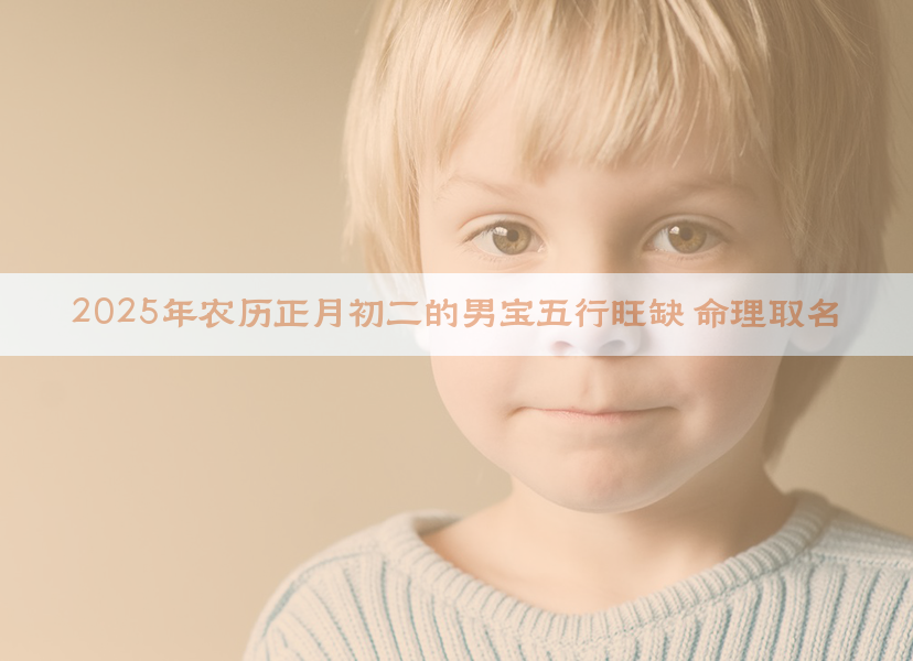 2025年农历正月初二的男宝五行旺缺 命理取名