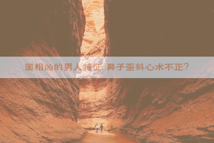 面相凶的男人特征：鼻子歪斜心术不正？