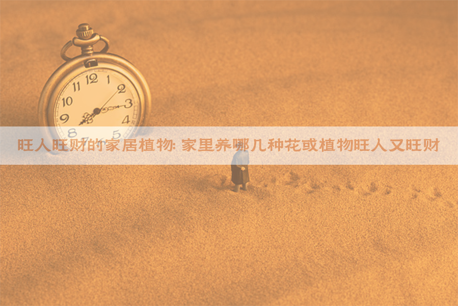 旺人旺财的家居植物：家里养哪几种花或植物旺人又旺财