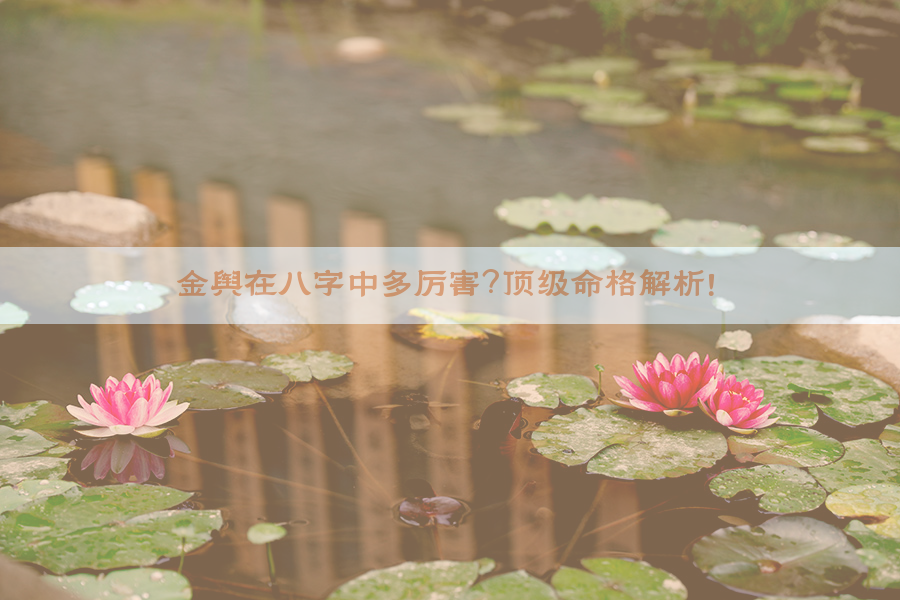​金舆在八字中多厉害？顶级命格解析！​​